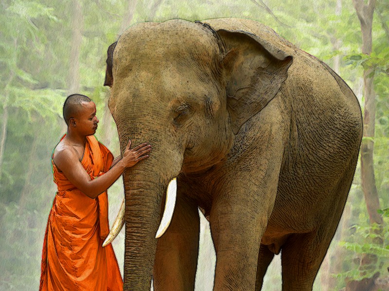 /photos/shares/Cambodia/COLOURFUL_CAMBODIA.jpg