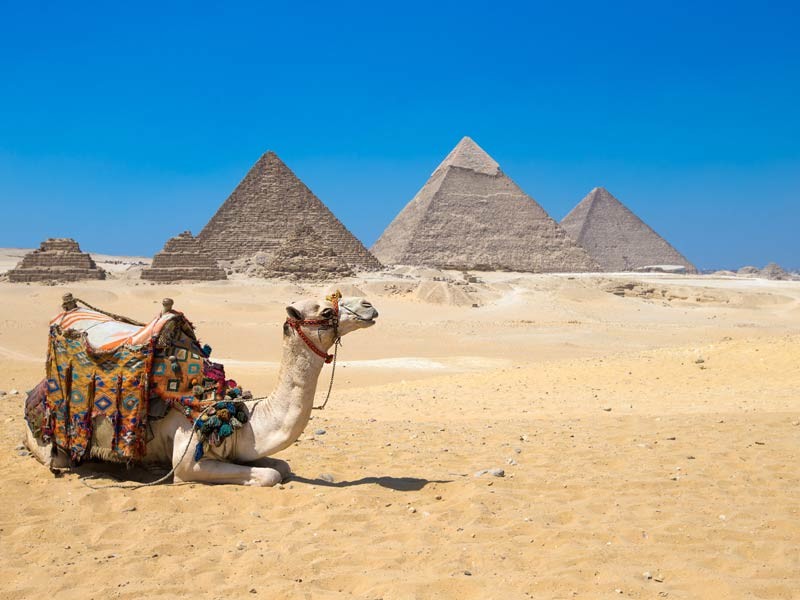 /photos/shares/Egypt/11DayEgypt/1.jpg