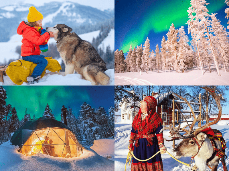 /photos/shares/Finland/reindeer-gb486e12c8_1280.jpg