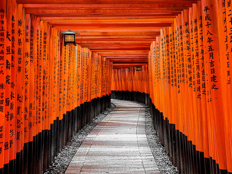 8 Day Wonders Of Japan Tour with Flights