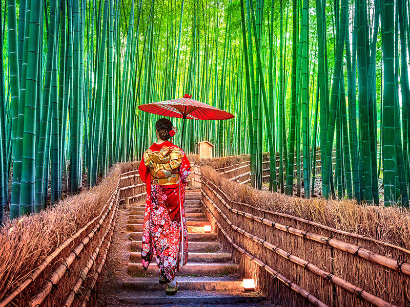 8 Day Wonders Of Japan Tour with Flights