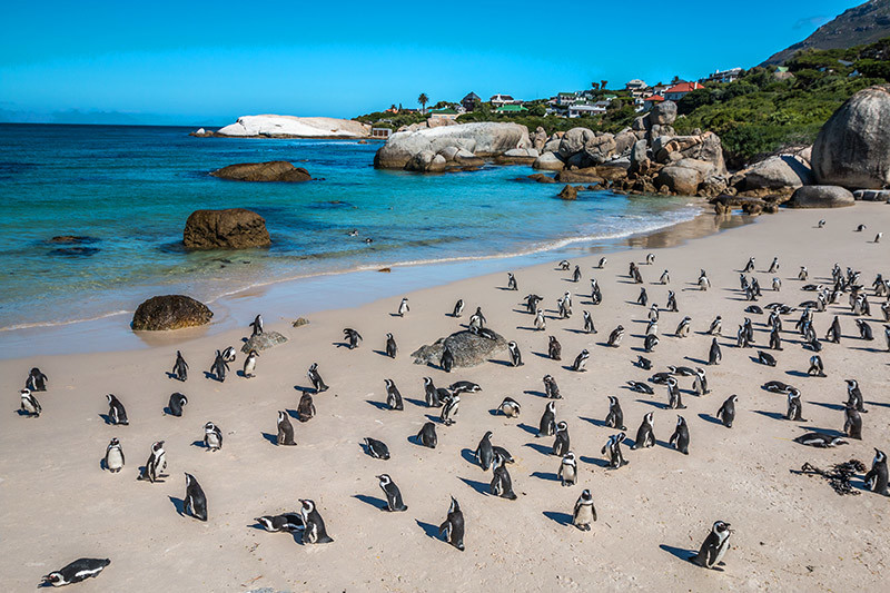 17 Day South Africa and Egypt Tour with Flights