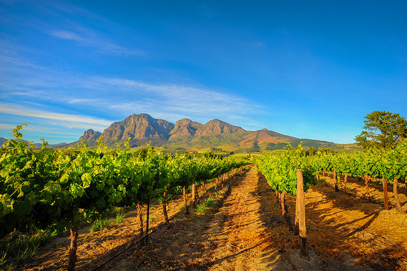 17 Day South Africa and Egypt Tour with Flights