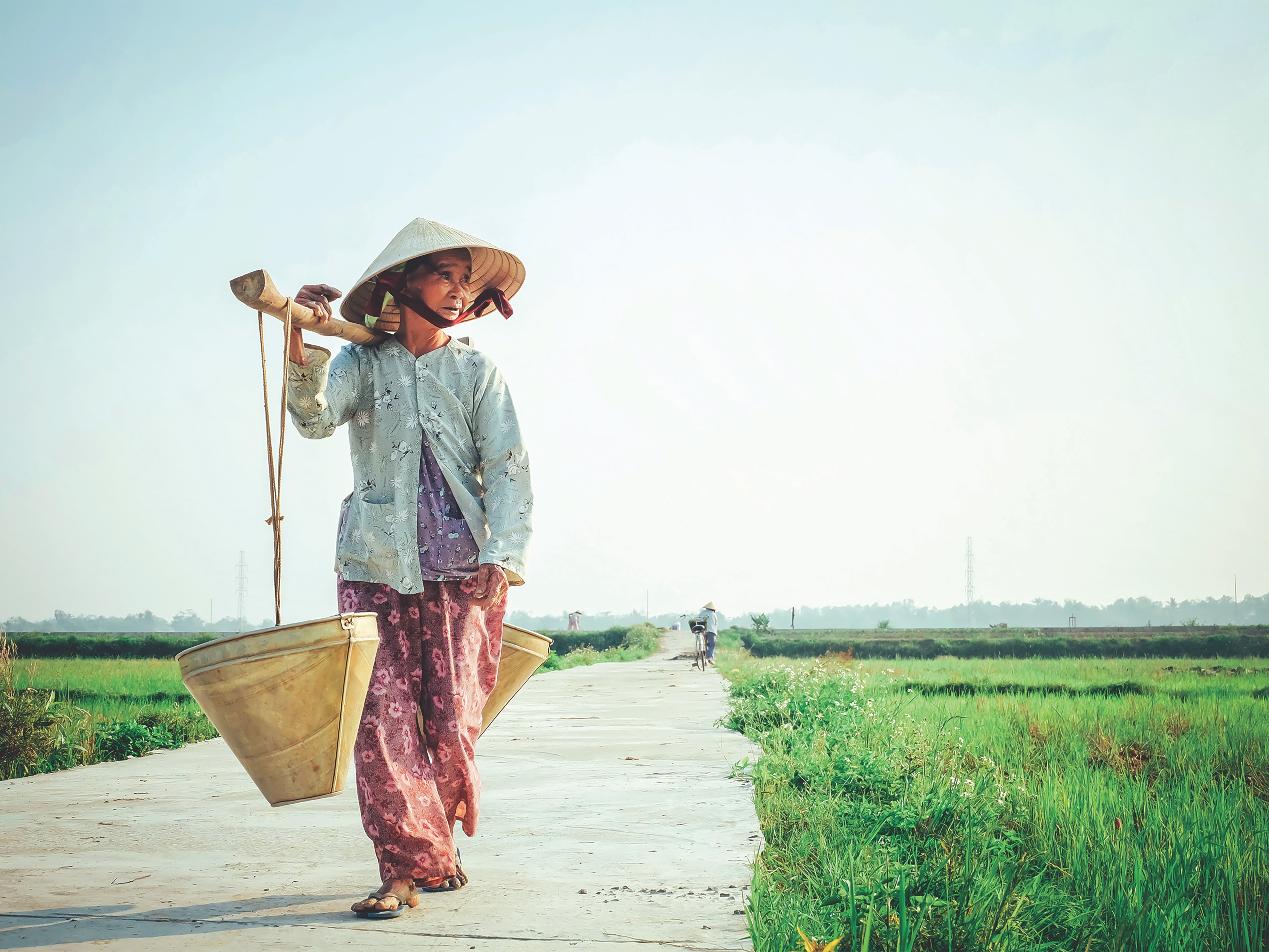 /photos/shares/Vietnam/h-ng-nguy-n-vi-t-5pYUt2gEZaA-unsplash.jpg